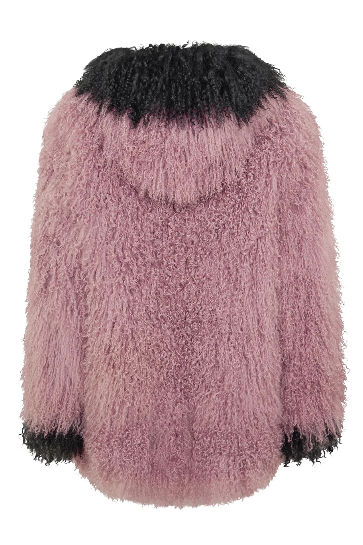 Roxy - Image 3